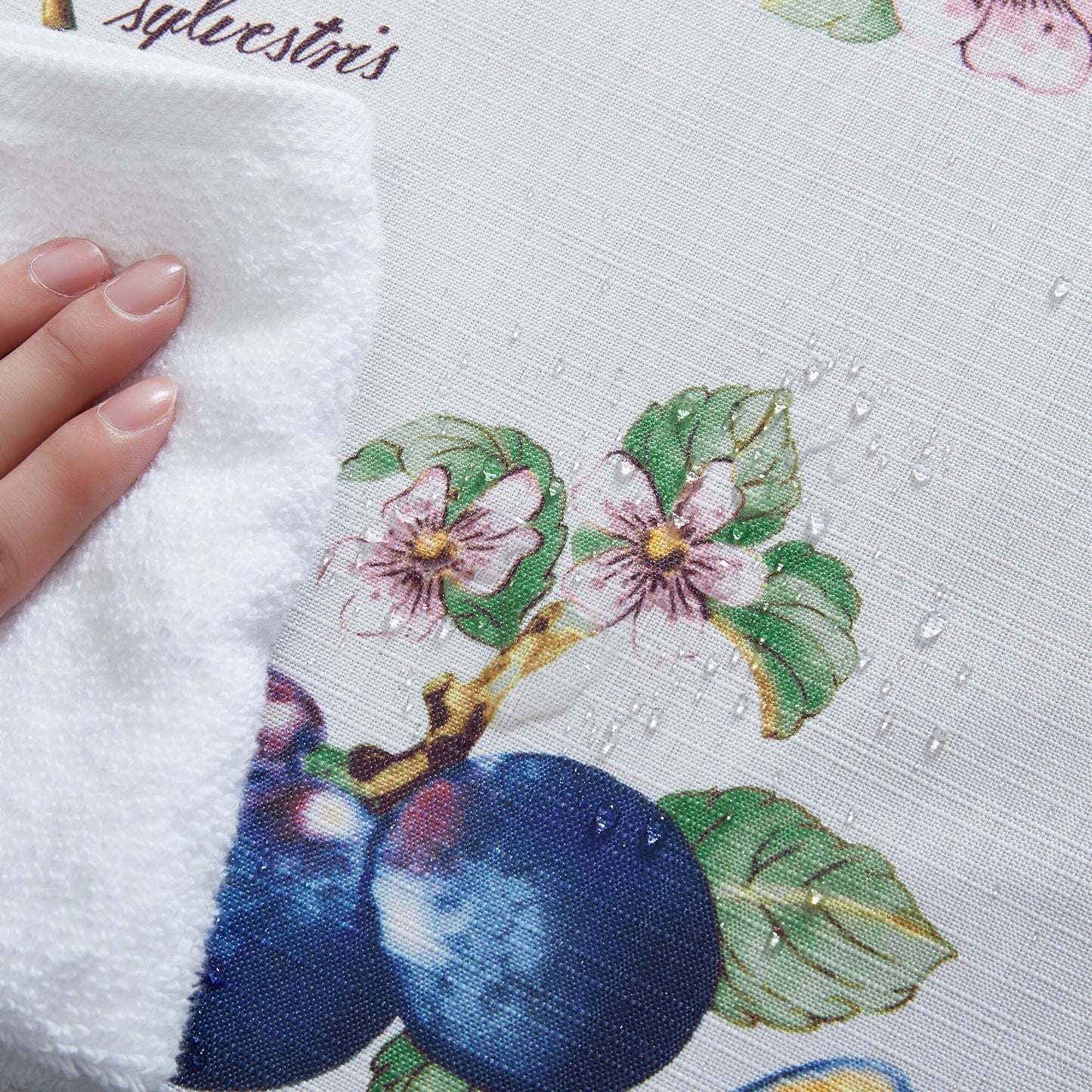 Villeroy & Boch French Garden Stain and Water Resistant Placemats, Set of 4