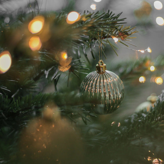 a photo of a silver ornament on a christmas tree